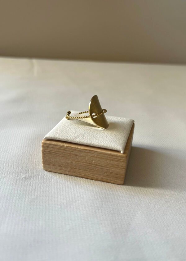 Bag106 (3) (1) Bague "Subtile"