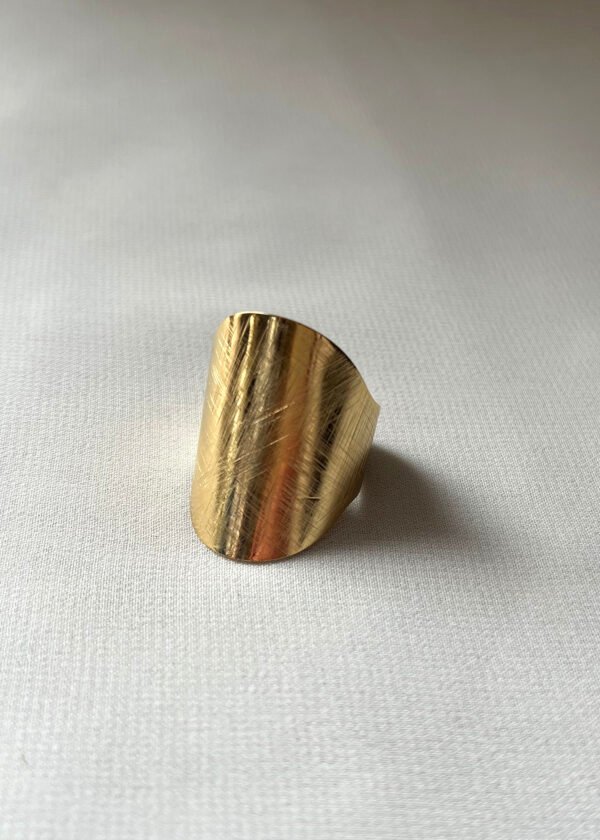Bag108 (4) Bague "Sensuelle"