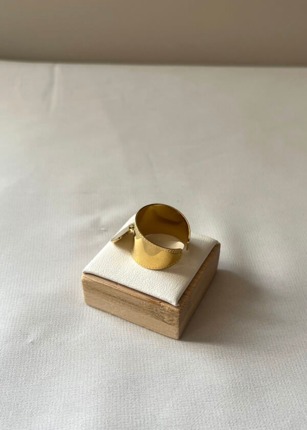 Bag122 (3) Bague "Horus"