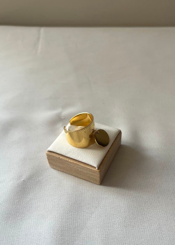 Bag122 (4) Bague "Horus"