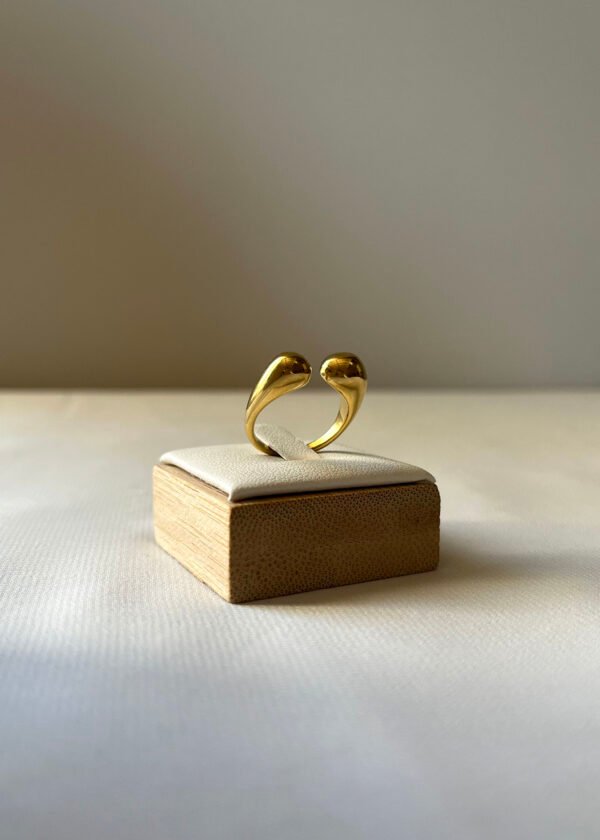 Bag126 (4) Bague "Molly"