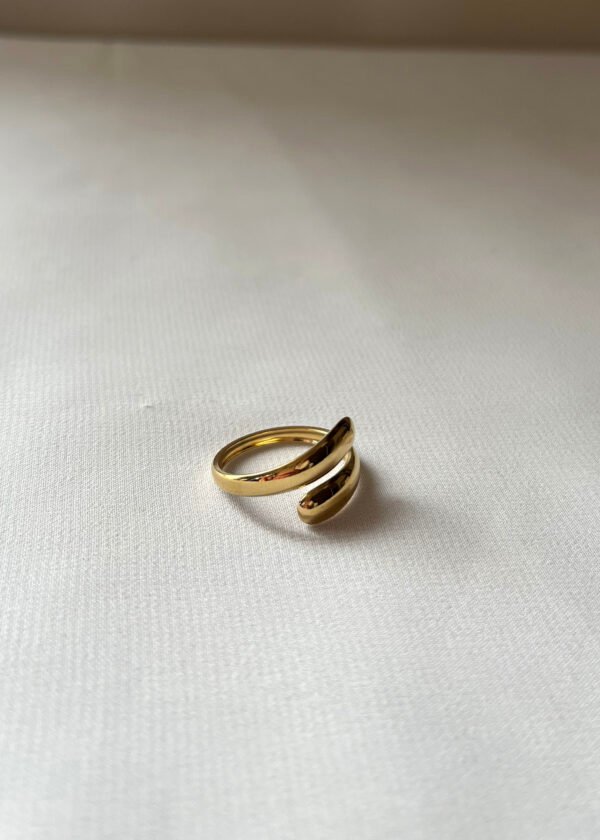 Bag129 (1) Bague "Astra"