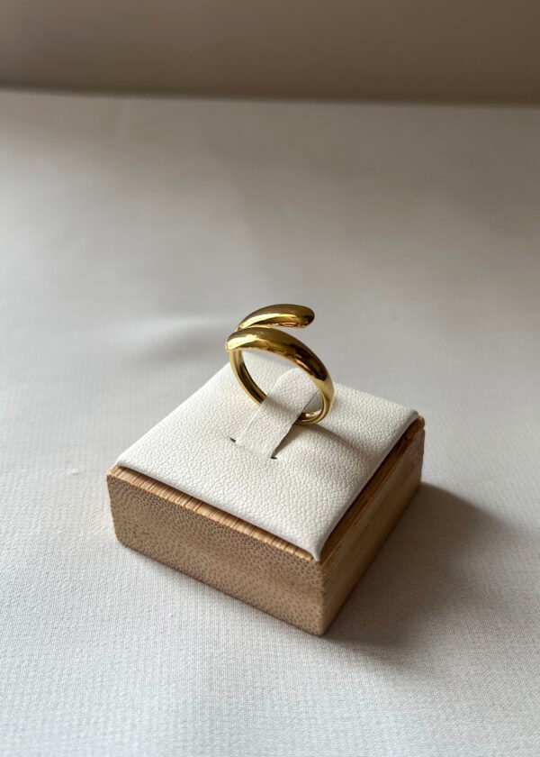 Bag129 (2) Bague "Astra"