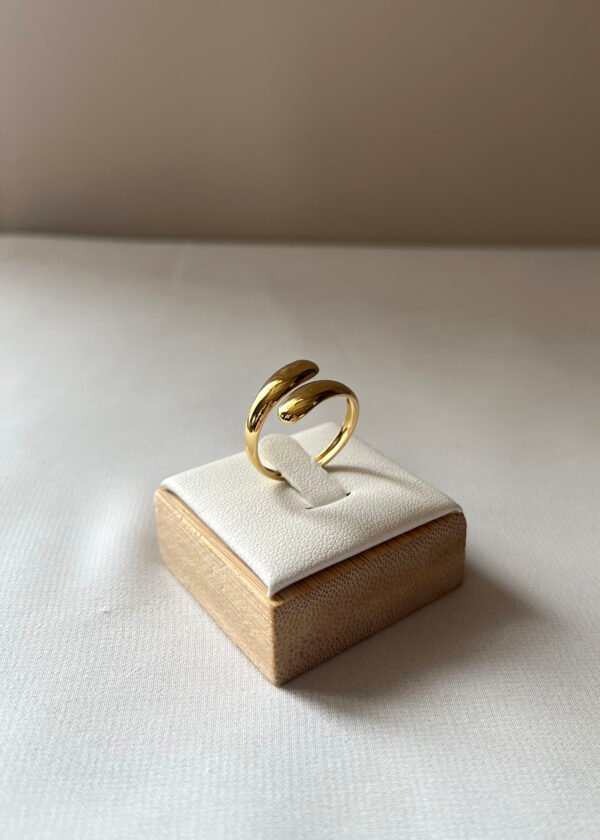 Bag129 (3) Bague "Astra"