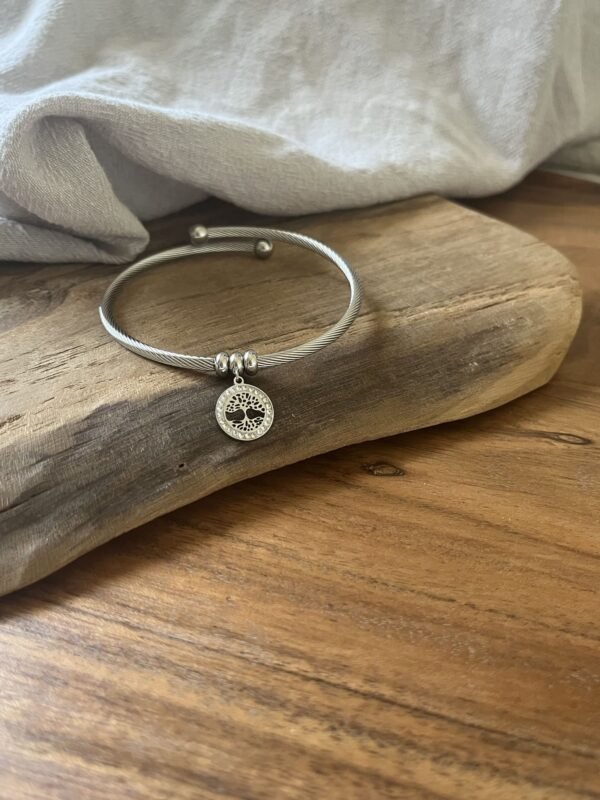 IMG_2519 Bracelet jonc "Arbre de vie" gris