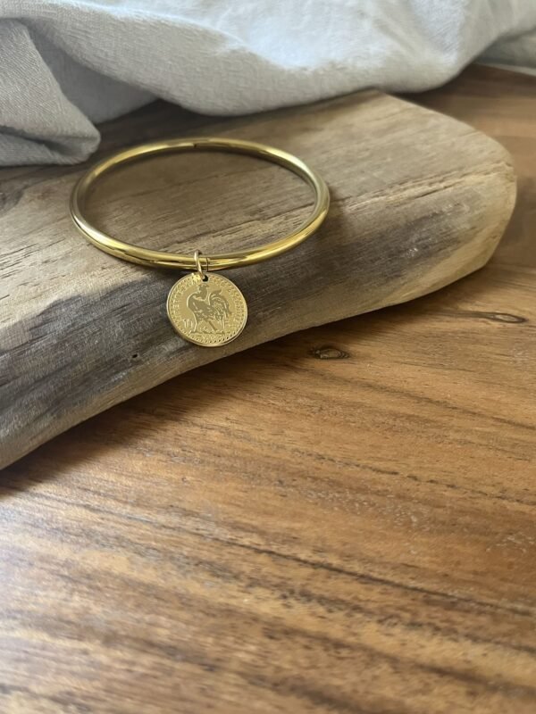 IMG_2523 Bracelet jonc "10 francs"