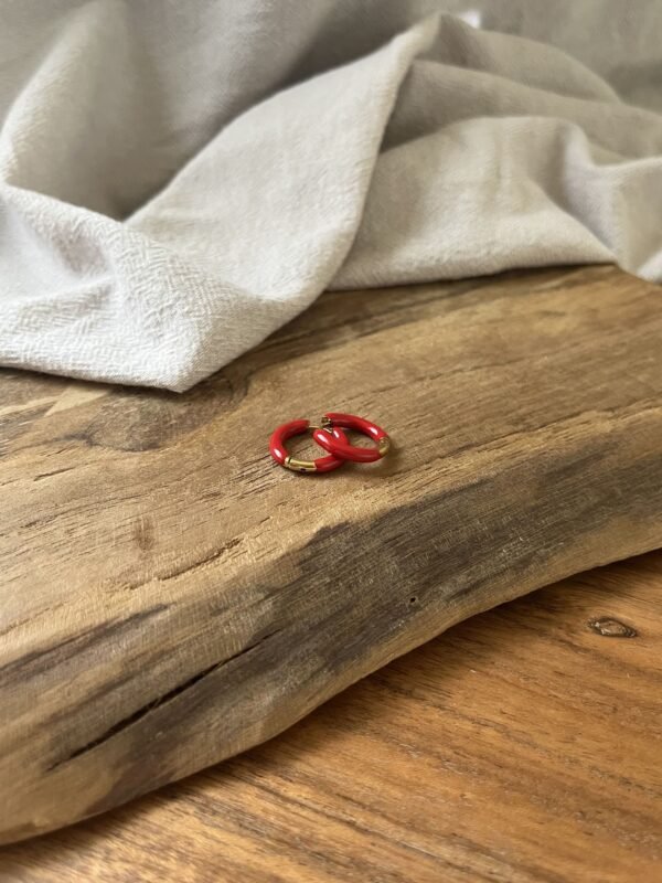 IMG_2854 Boucles d'oreilles "Summer" rouge