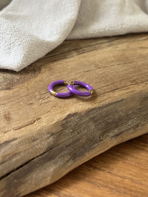 IMG_2861 Boucles d'oreilles "Summer" violette