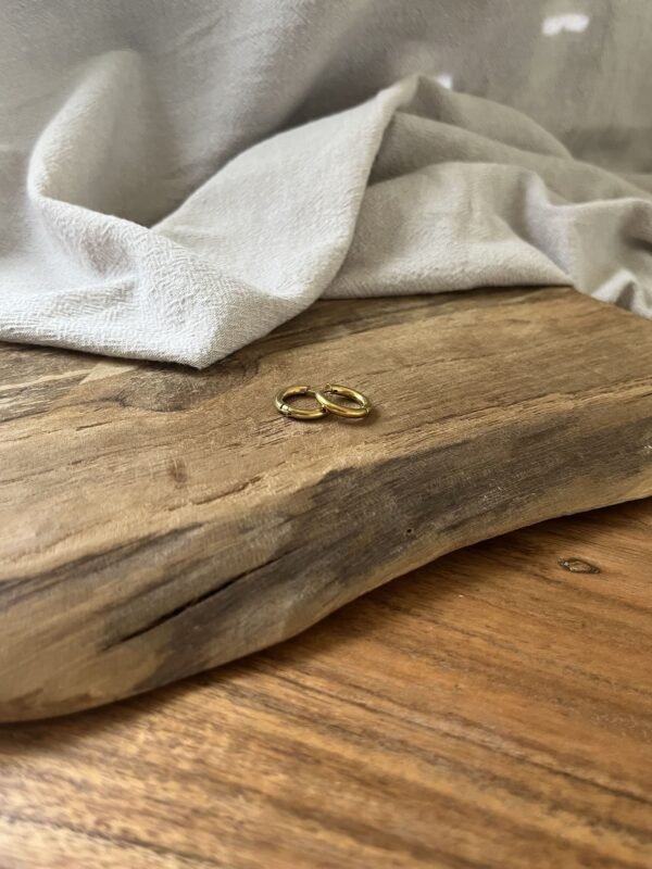 IMG_2874 Boucles d'oreilles "Summer" dorée