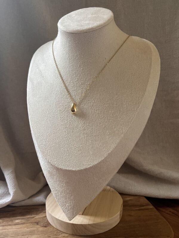 IMG_6814 Collier "Coral"